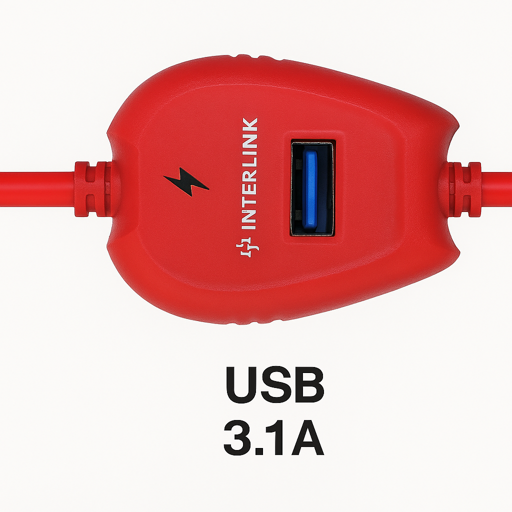 ULTRA PRO CHEMTA / N97 3.1A Type-C Cable – Made for 12V Batteries