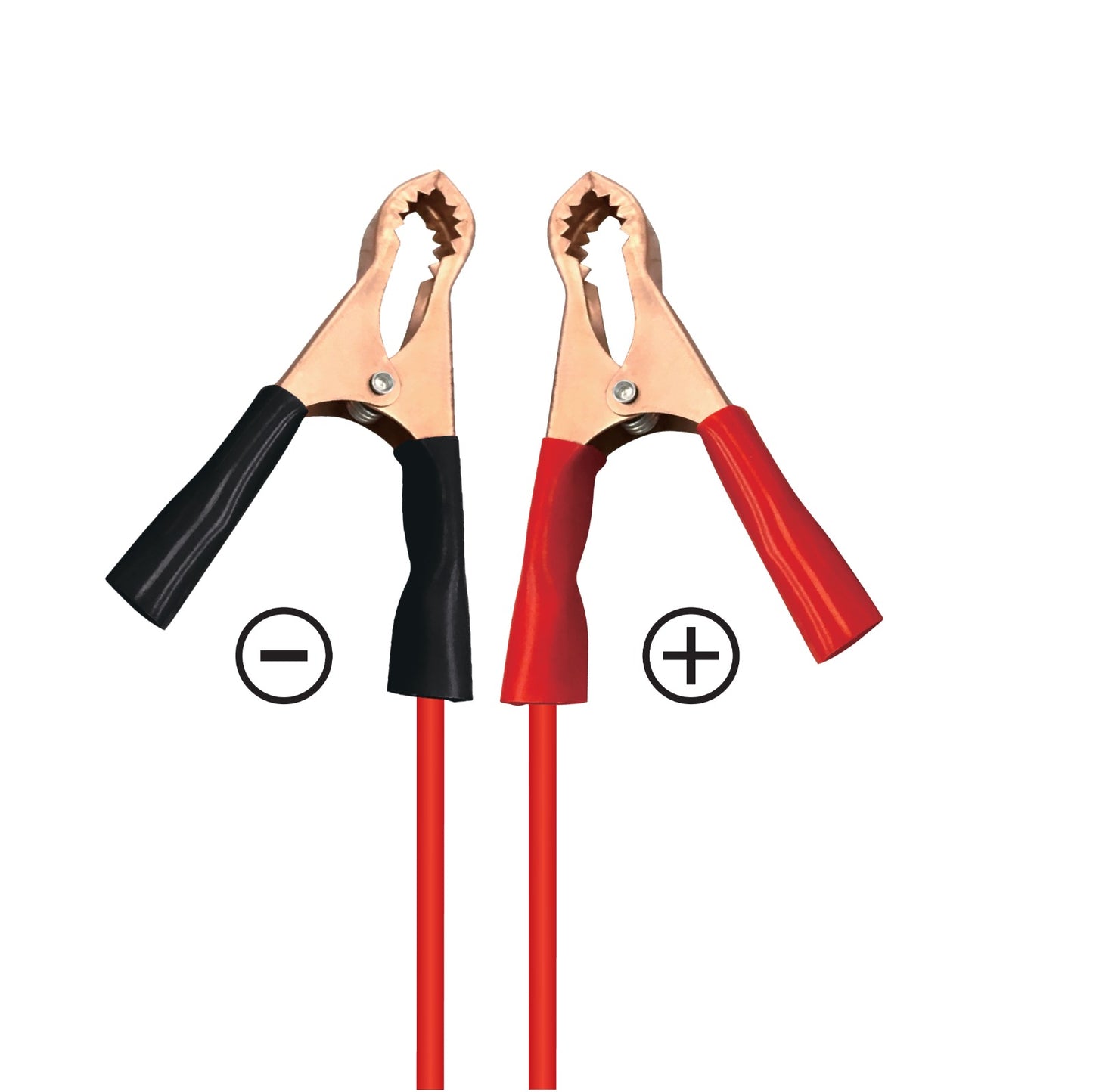 2X PRIME CHEMTA Type-C Cable – 2.1A for 12V Batteries