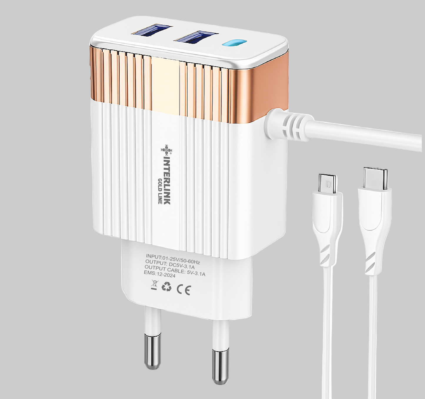 GOLD LINE DC CHARGER 12V-Smart Charging for 12V Batteries