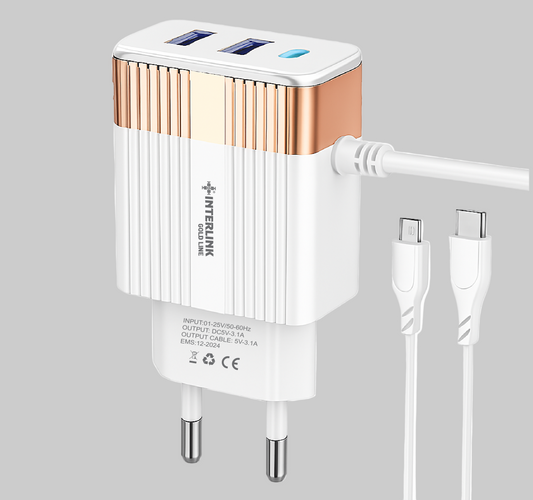 GOLD LINE DC CHARGER 12V-Smart Charging for 12V Batteries