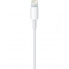 interlink-iphone-charger