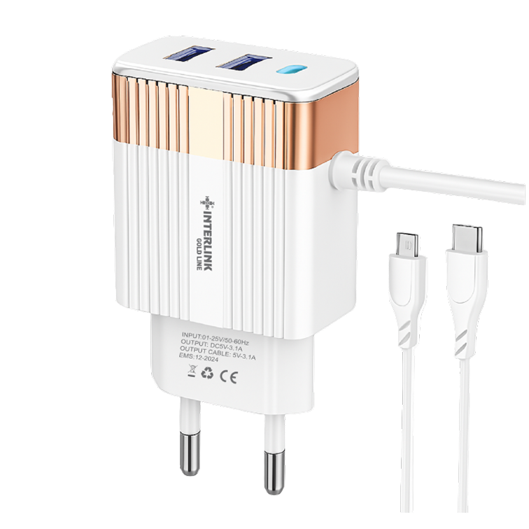 GOLD LINE DC CHARGER 12V-Smart Charging for 12V Batteries