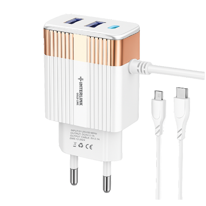 GOLD LINE DC CHARGER 12V-Smart Charging for 12V Batteries