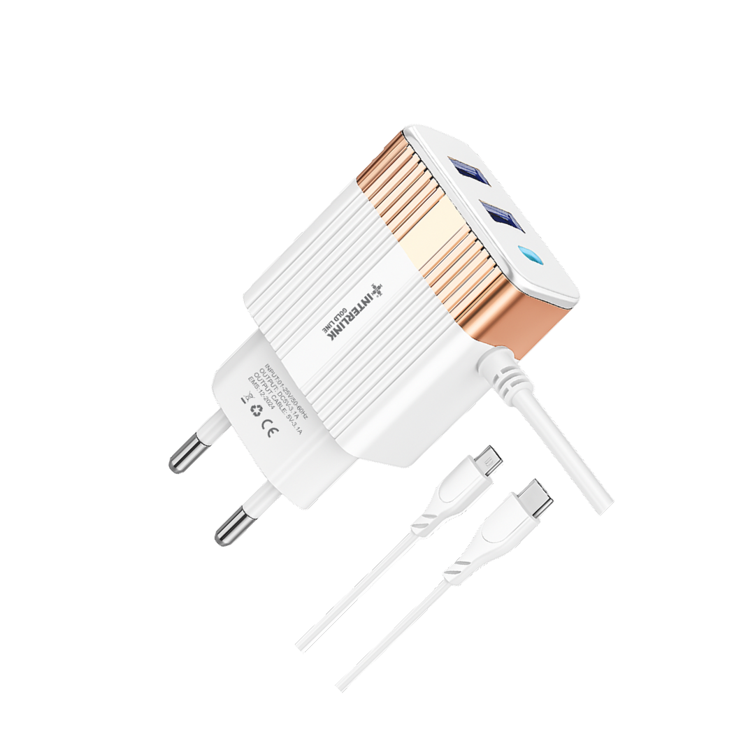 GOLD LINE DC CHARGER 12V-Smart Charging for 12V Batteries