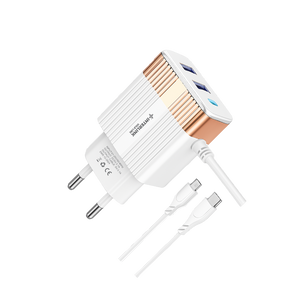 GOLD LINE DC CHARGER 12V-Smart Charging for 12V Batteries