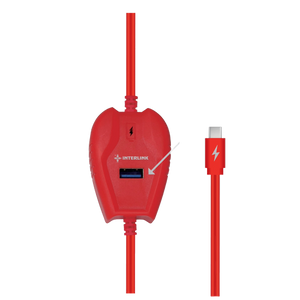ULTRA MAX Type-C CHEMTA Cable – 3.1A for 12V Batteries